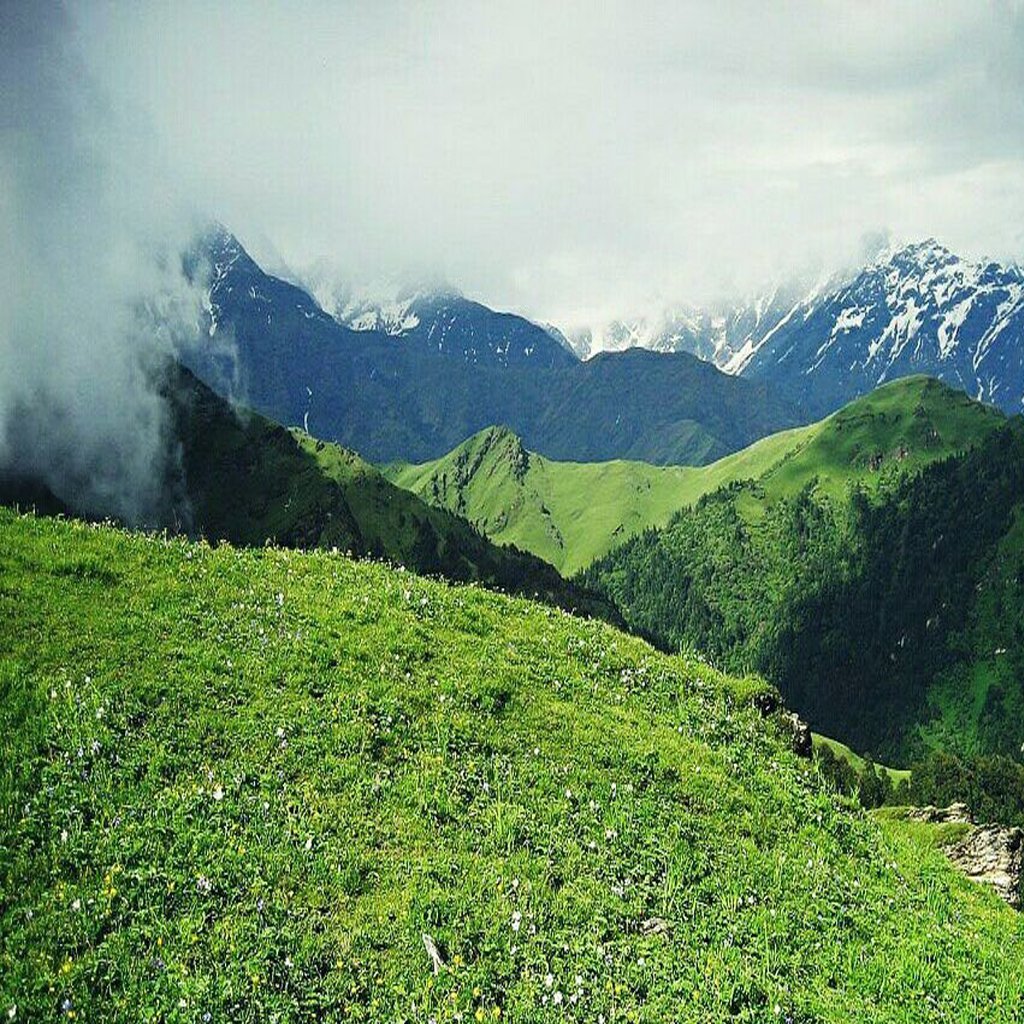 ali bedni bugyal trek
